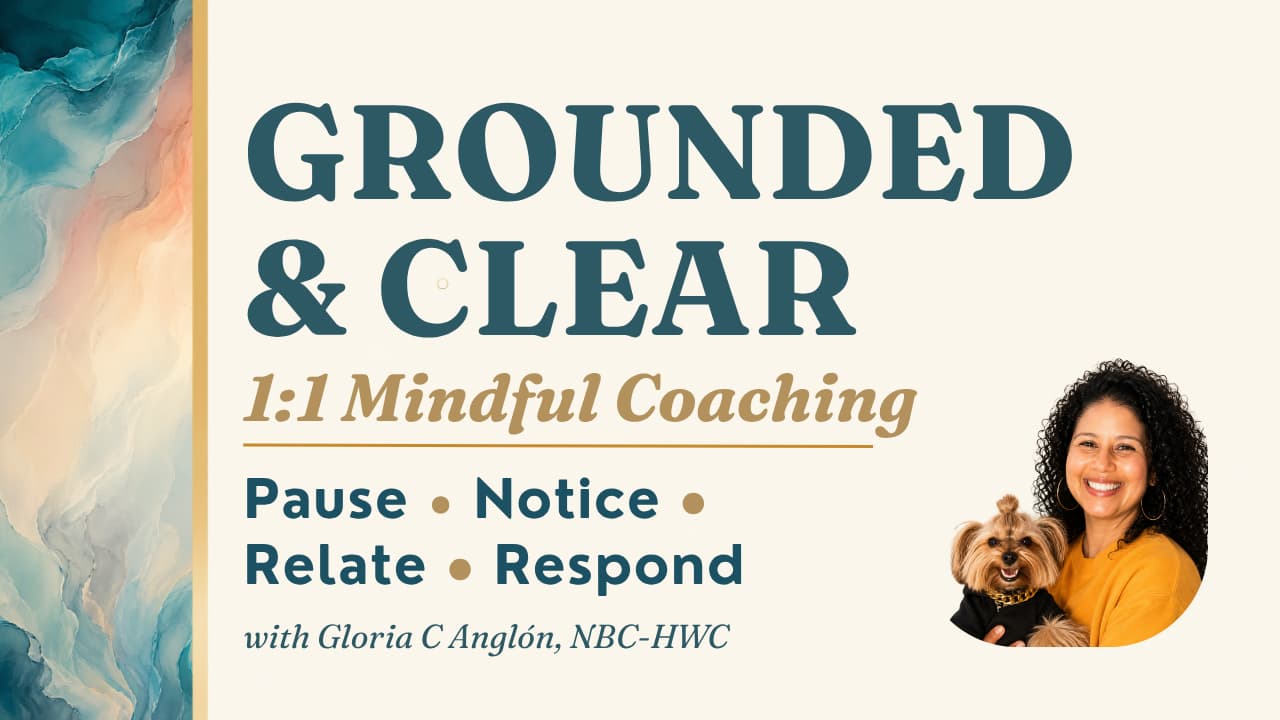 Grounded & Clear: 1:1 Mindful Coaching