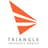 Triangle Insights Group Logo