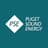 Puget Sound Energy Logo