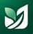 The Ivy Journey Logo