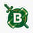 Belhaven University Logo