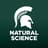 Michigan State University Logo