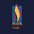 Philadelphia College of Osteopathic Medicine Logo