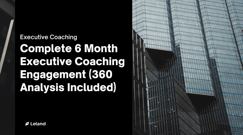 Complete 6 Month Executive Coaching Engagement (360 Analysis Included)