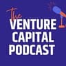 Venture Capital Logo
