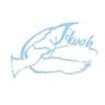 Tikvah Logo