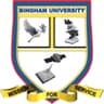 Bingham University Logo