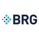 Berkeley Research Group