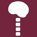Carolina Neurosurgery & Spine Associates